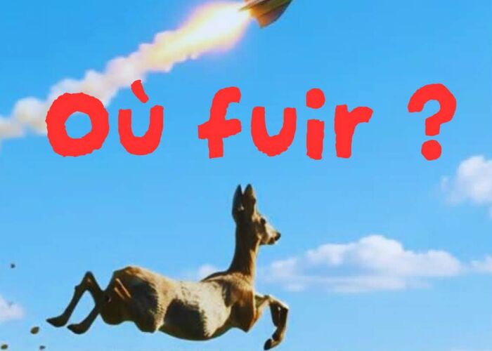 Spectacle "Où fuir ?" affiche pour Avignon © Droits réservés