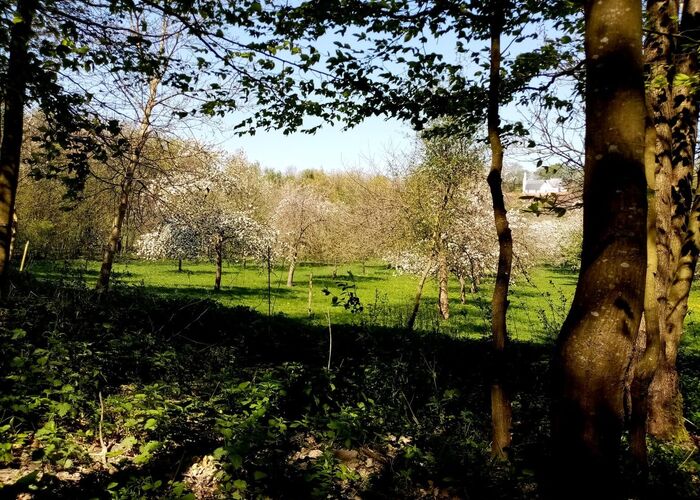 Les vergers de l'Escapade © ok