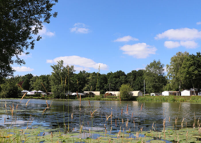 camping-avec-etang © Camping les étangs du Plateau des Landes