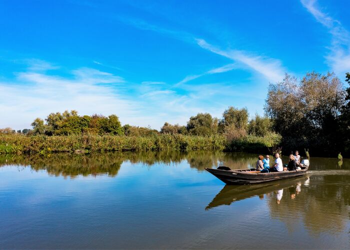 @les cofloccs Bacove (13) © Les Cofloccs