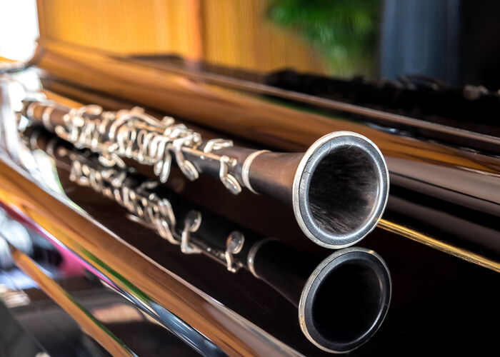Black clarinet lying on closing grand piano © 