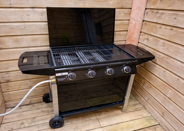 Photo Annonce Odes & Ballades - VH34 © 