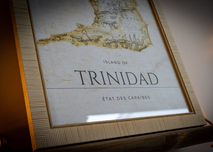 DECORATION  TRINIDAD VIBES © Quentin MAILLARD