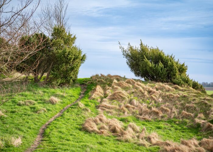 Coteaux de l'Aa - Sentier des Genévriers 2024 © Quentin Maillard - Tourisme en Pays de Saint-Omer 