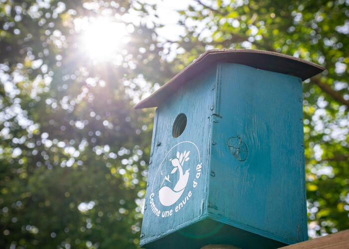 Comme une envie d'air  © Quentin MAILLARD © Tourisme en Pays de Saint-Omer