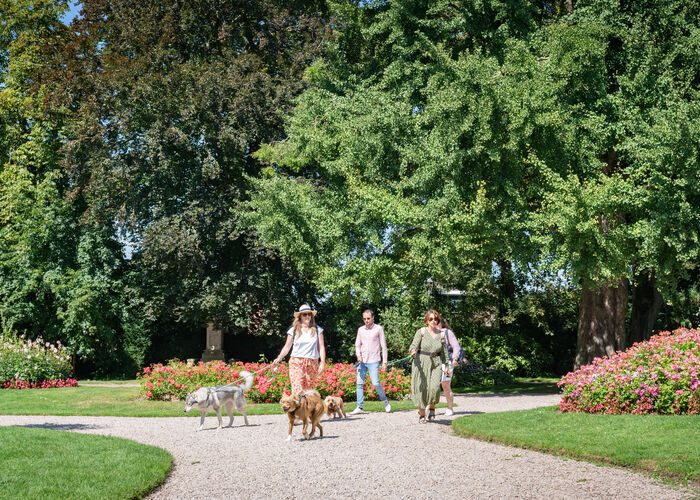 Toutourisme - Jardin Public de Saint-Omer en 2024 © Quentin MAILLARD - Tourisme en Pays de Saint-Omer