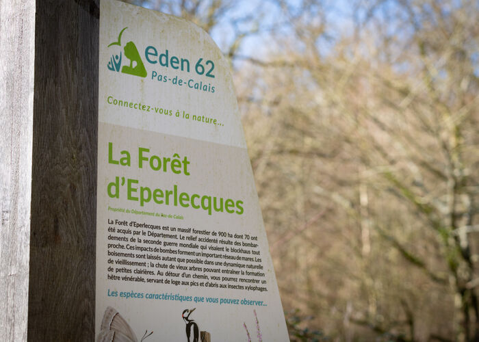 Forêt d'Éperlecques 2024 © Quentin MAILLARD - Tourisme en Pays de Saint-Omer