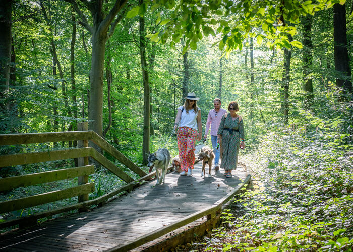 Toutourisme - Fôret d'Éperlecques © Quentin MAILLARD - Tourisme en Pays de Saint-Omer