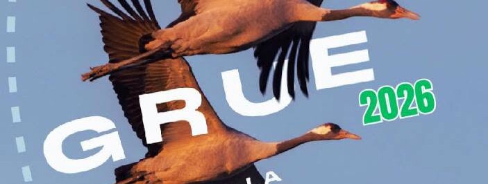Fête de la Grue : Couchers de grues sur la RNN de l’étang de la Horre - 0
