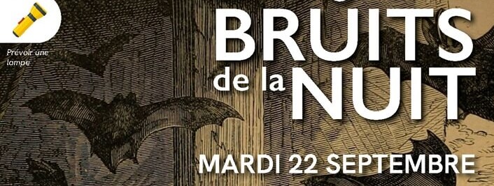 Les bruits de la nuit - 0