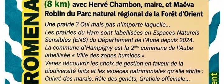 Sortie nature : Découverte de la Prairie du Ham - 0