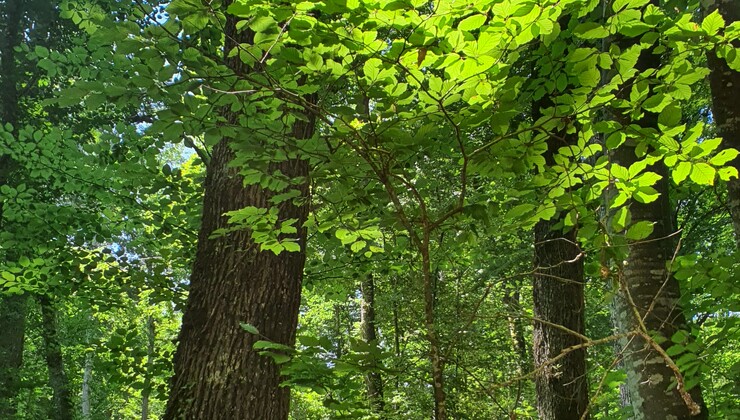 Bérulle CP Tabéa Posteaux (16).jpg