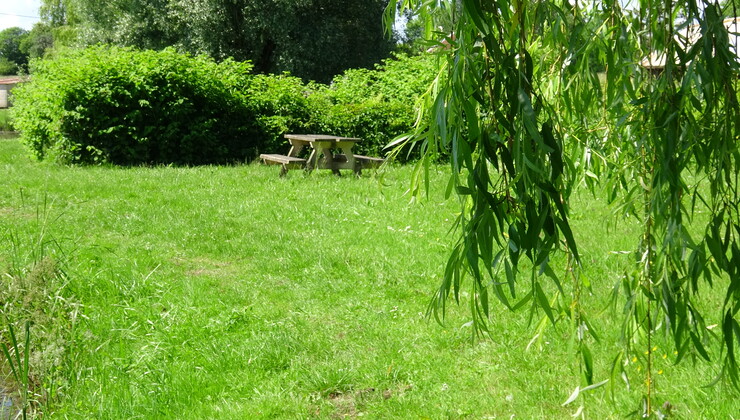 Table de pique-nique.JPG