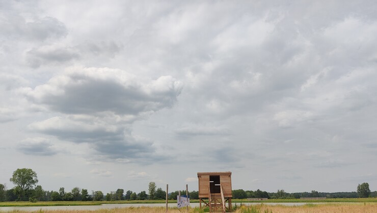 Zone humide CP Katell Fradet (15).jpg