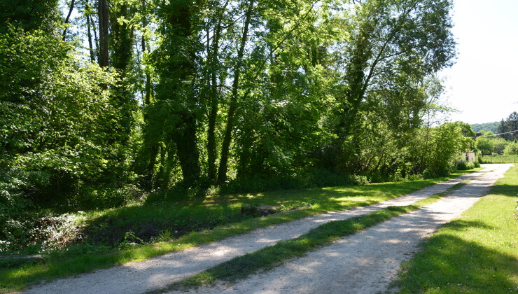 Chennegy -CP Bernal Collombet (1).JPG