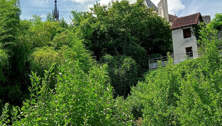 Ervy CP B Collombet (7).jpg