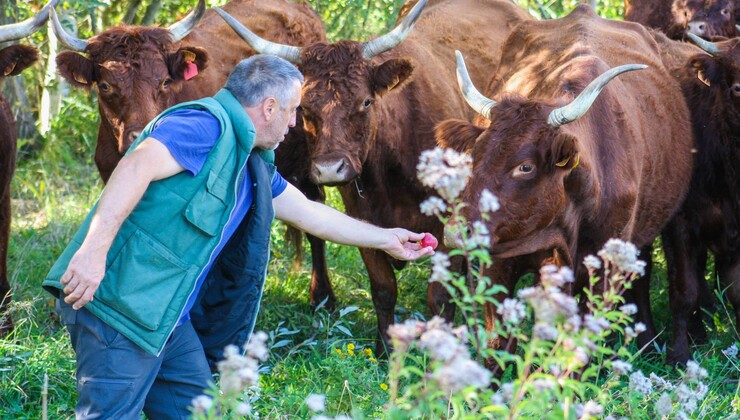 CP Ferme mont st Benoist16.jpg