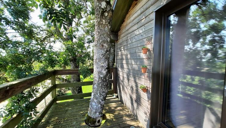 La Cabane Effrénée