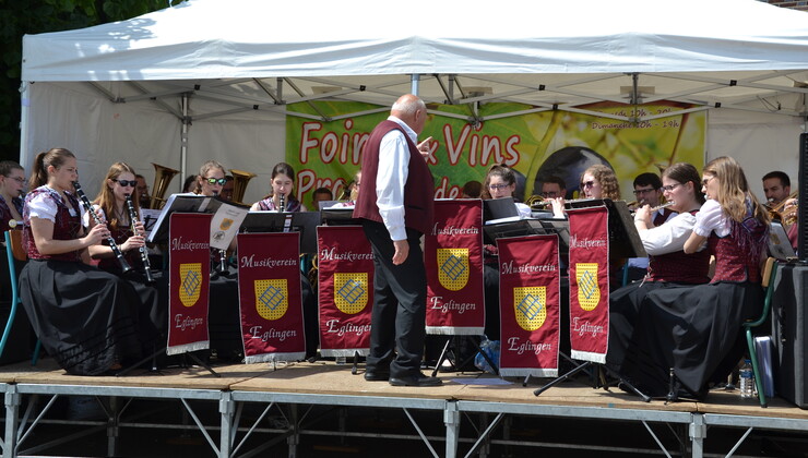 Foire aux vins. CP Camille Bollon.JPG