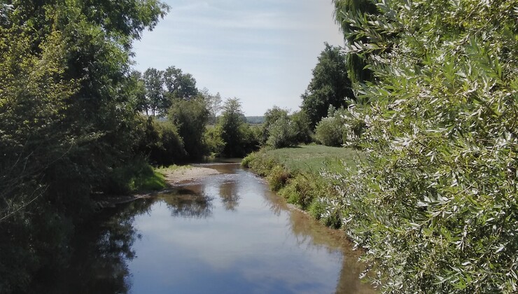 Ervy le chatel CP B.Collombet (6).jpg