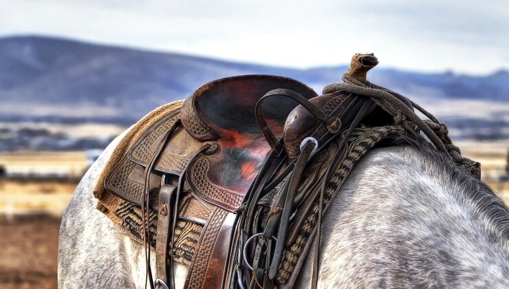 selledecheval.jpg