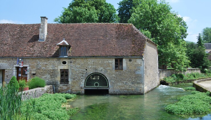 Crédit Photo Ambre Cnudde.JPG