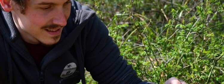En quête de nature : Sentier de la Salamandre - 0