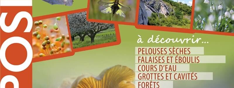 Exposition « Les milieux naturels de Champagne-Ardenne » - 0