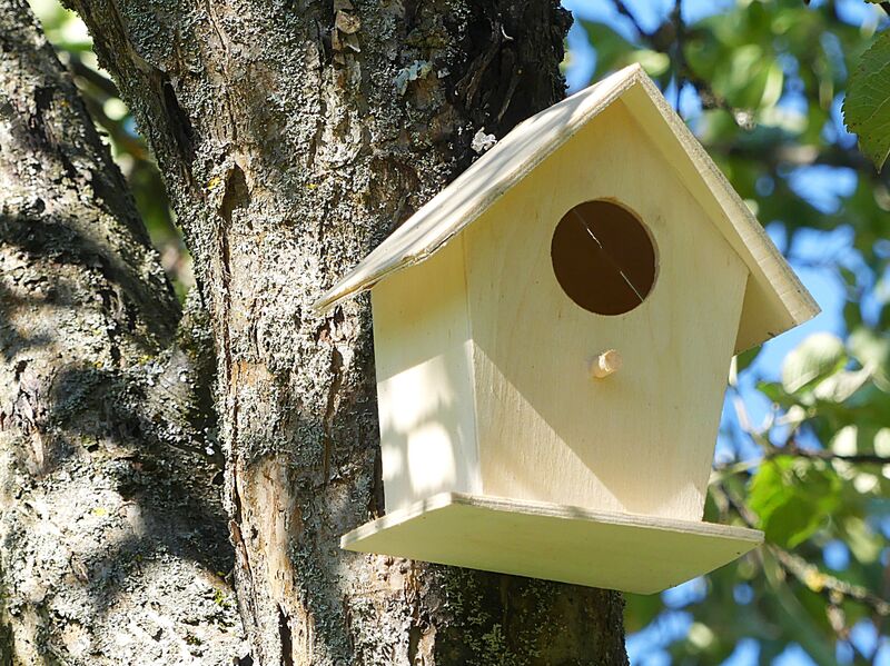 21 - bird-house-2640932 - illustration non contractuelle