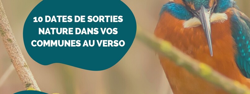 Sortie nature – Redécouvrez la nature près de chez vous - 0