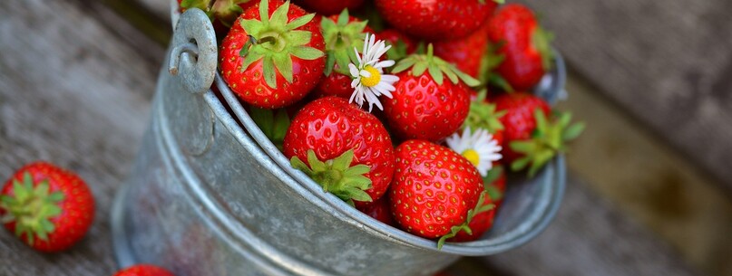 Fête de la fraise - 0