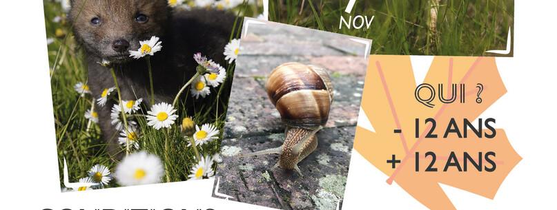 Concours Photo Nature – Biodiversité de ma campagne - 0
