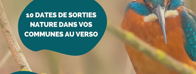 (re) Découvrez la nature près de chez vous - 0