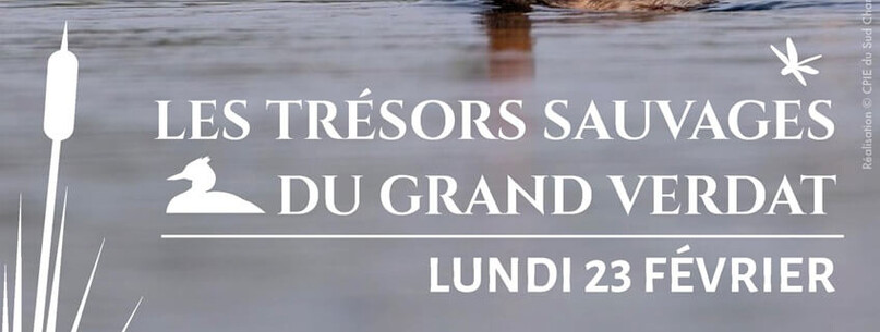 Animation nature : Les trésors sauvages du Grand Verdat - 0
