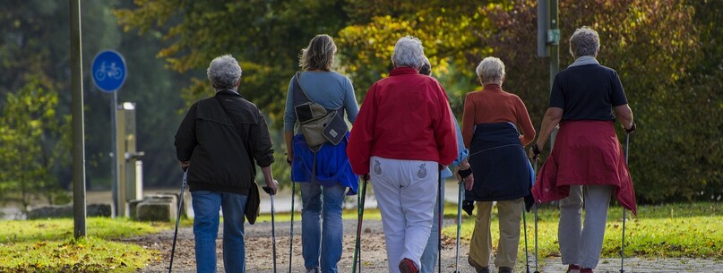 Téléthon : Marche festive - 0