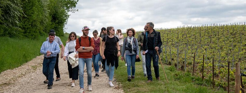 Vignobles en Scène – Balade Vigneronne avec le Champagne Binon-Coquard - 0