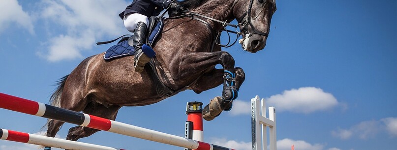 Concours de saut d’obstacles - 0