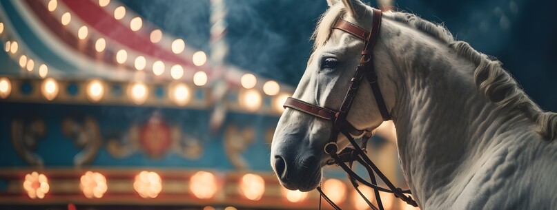 Cirque et spectacle équestre - 0