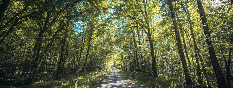 Randonnée sur les traces de l’argile - 0