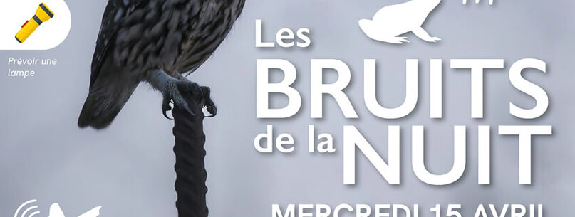 Animation Nature “Les bruits de la nuit” - 0