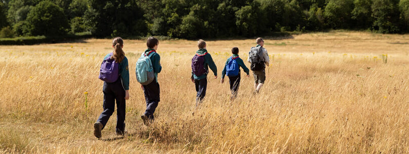 Sortie nature : Découverte de la Prairie du Ham - 0