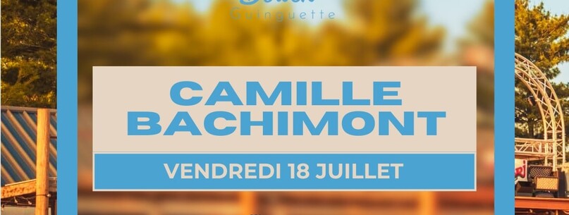 Soirée DJ avec Camille Bachimont - 0
