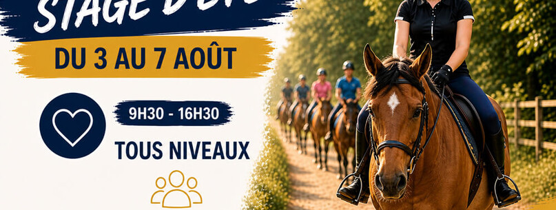 Stage d’équitation – Tous niveaux - 0