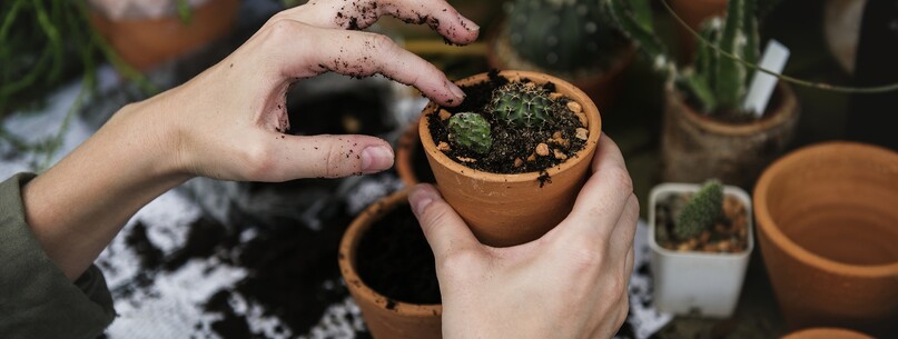 Troc aux plantes - 0