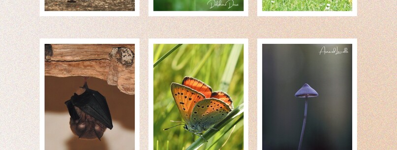 Exposition de photos nature - 0