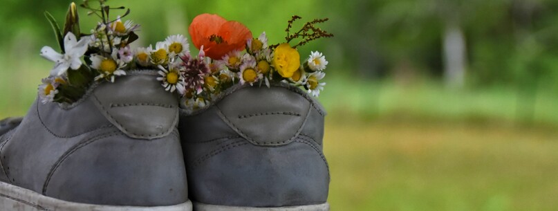 Randonnée pédestre - 0