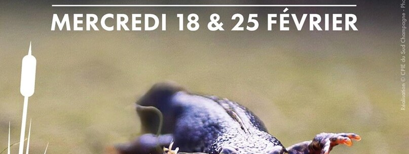 Animation nature : Sentier d&rsquo;eau et de nature - 0