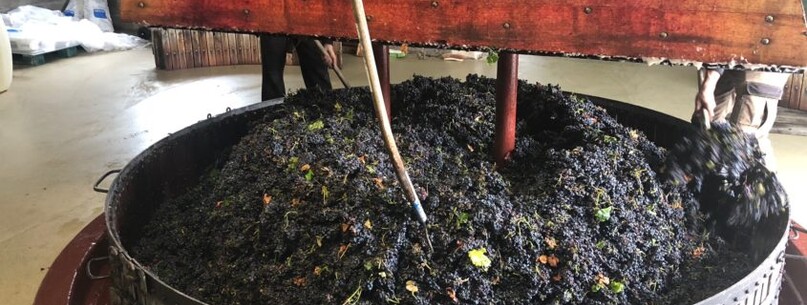 De la vigne à la flûte - 0