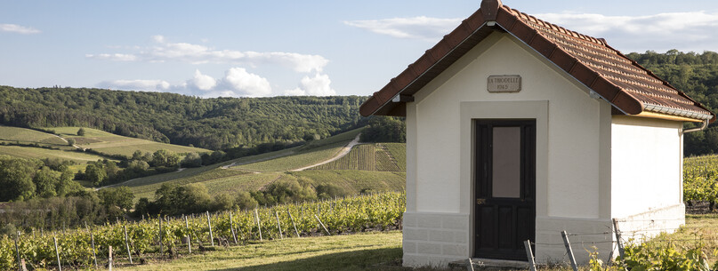 Escapade à la Thiodelle - 0