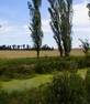 Gîte au Calme d’un Vallon - 39